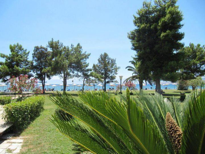 Nafsika Beach Delphi-Ітея Екстер'єр фото
